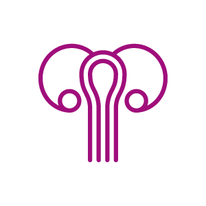 Vaginal microbiota logo