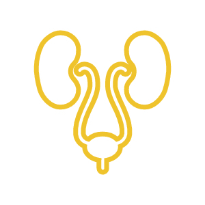Pyelonephritis and urosepsis logo